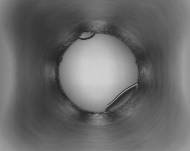 X0000110740566200906290950