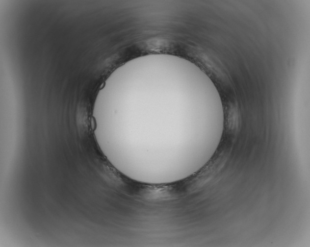 X0000110740569200906290950