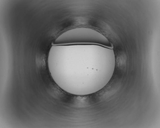 X0000110740570200906290950