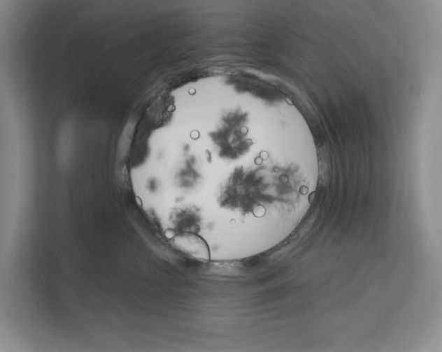 X0000110740573200906290950