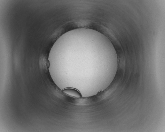 X0000110740575200906290950