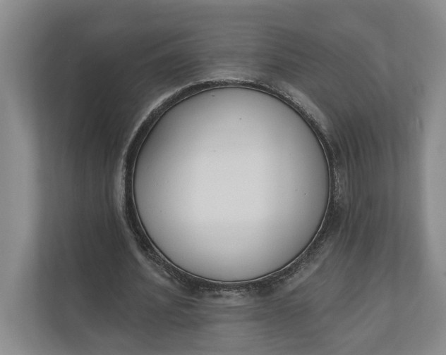 X0000110740580200906290950