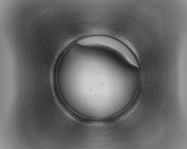 X0000110740581200906290950