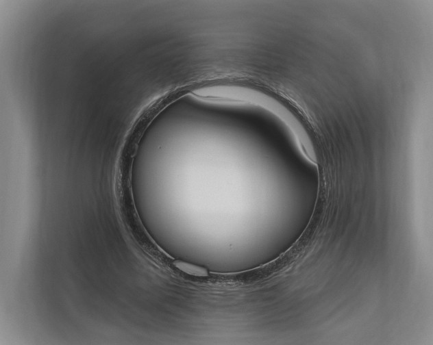 X0000110740587200906290950