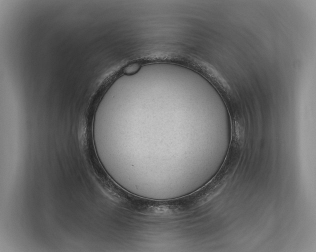 X0000110740588200906290950