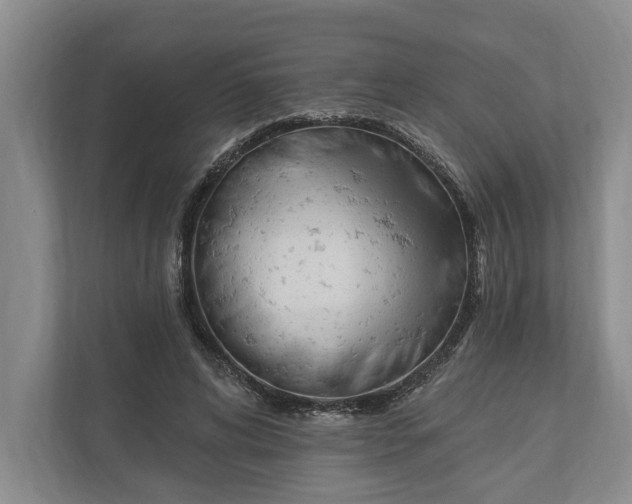 X0000110740592200906290949