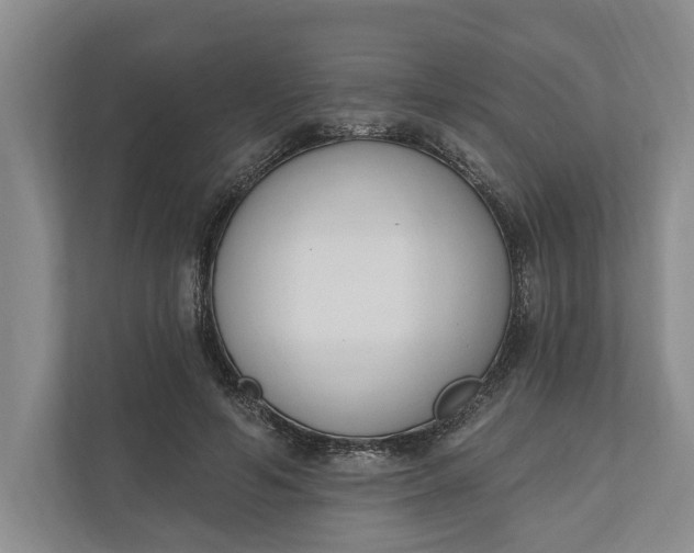 X0000110740594200906290949