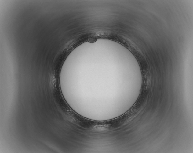 X0000110740595200906290949