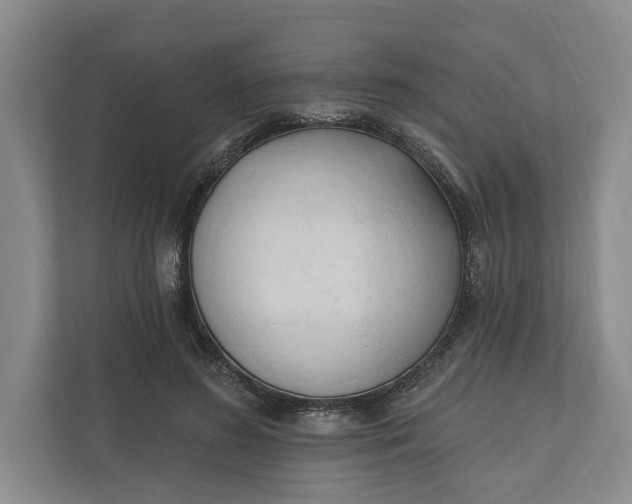 X0000110740596200906290949