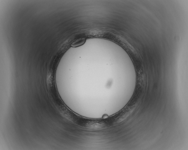 X0000110740597200906290949