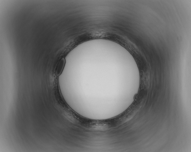 X0000110740601200906290949