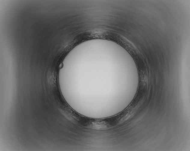 X0000110740603200906290949