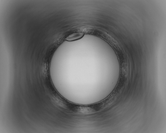 X0000110740605200906290949