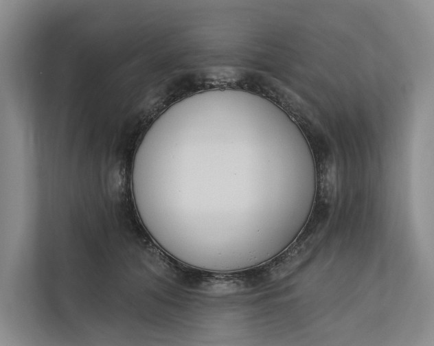 X0000110740608200906290949