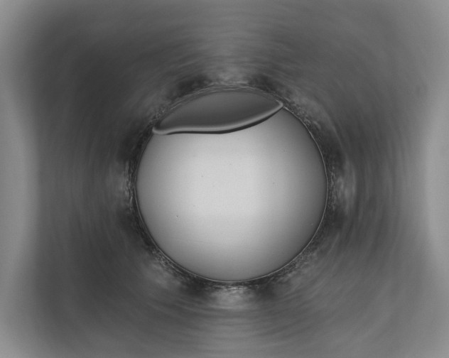 X0000110740609200906290949