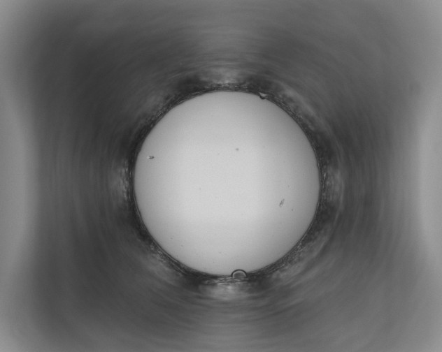 X0000110740612200906290949