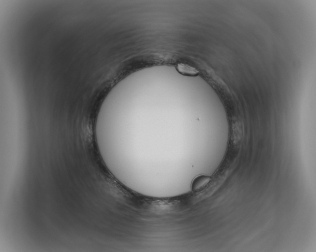 X0000110740613200906290949