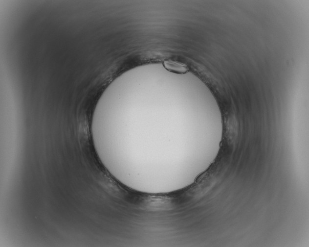 X0000110740617200906290949