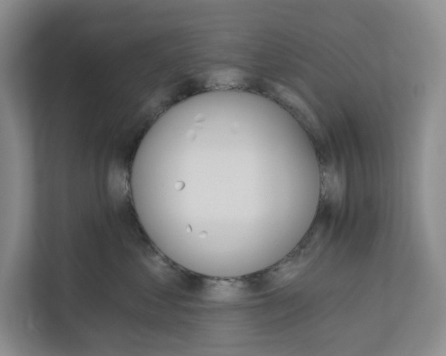 X0000110740621200906290949