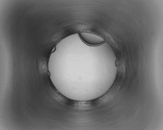 X0000110740622200906290949