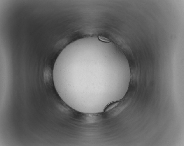 X0000110740623200906290949