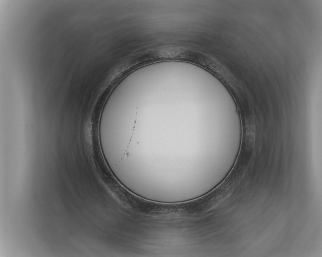 X0000110740626200906290948