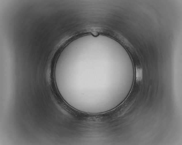 X0000110740627200906290948