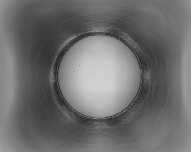 X0000110740628200906290948