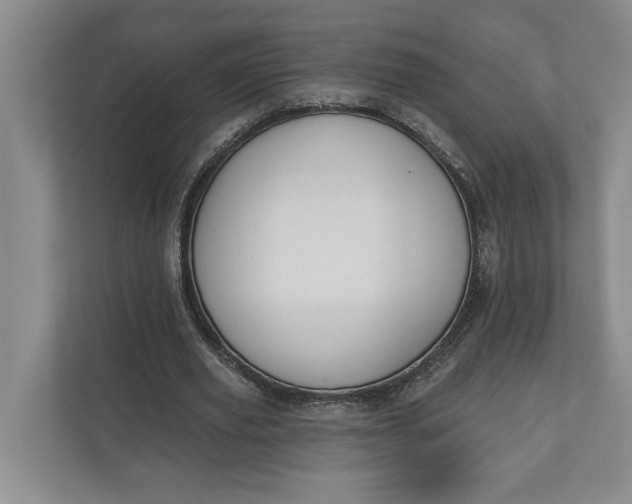 X0000110740629200906290949