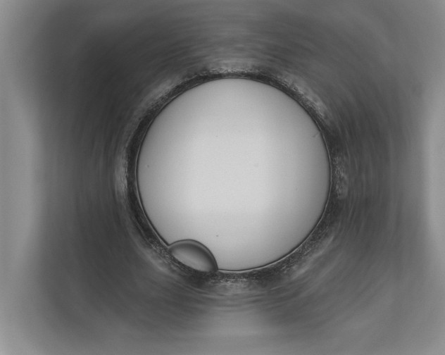 X0000110740631200906290949