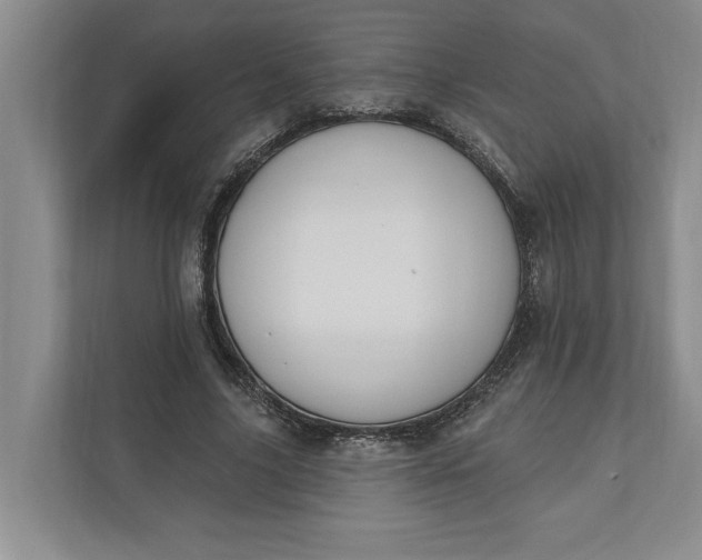 X0000110740635200906290949