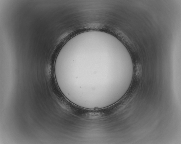 X0000110740636200906290949