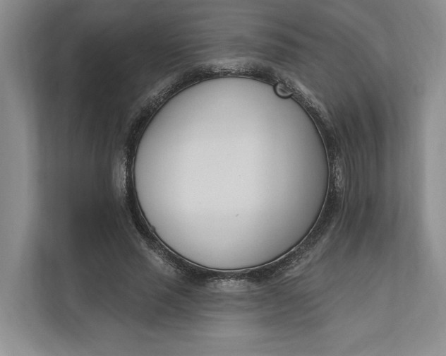 X0000110740637200906290949