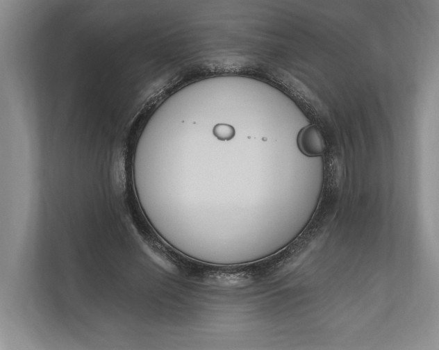 X0000110740638200906290949