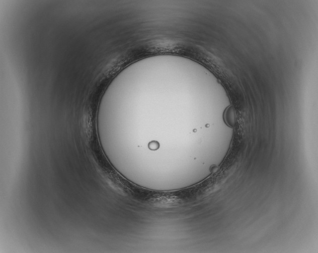 X0000110740642200906290949