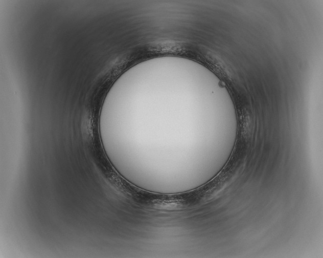 X0000110740643200906290949