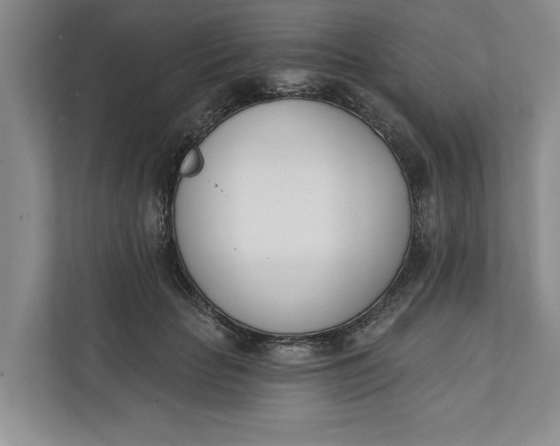 X0000110740653200906290949