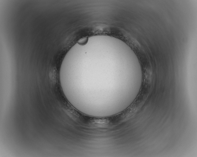 X0000110740659200906290949