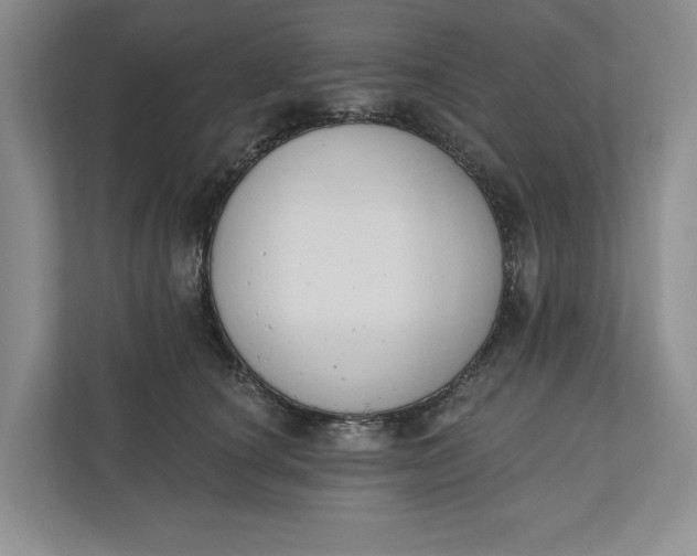 X0000110740660200906290949