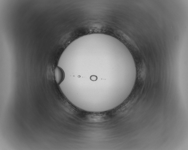 X0000110740661200906290949