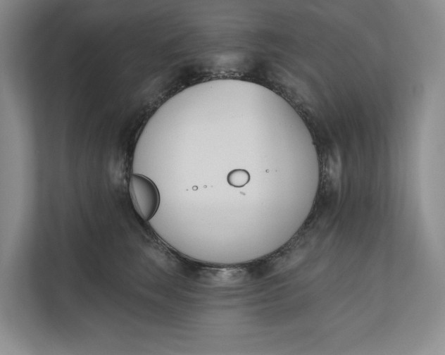 X0000110740663200906290949