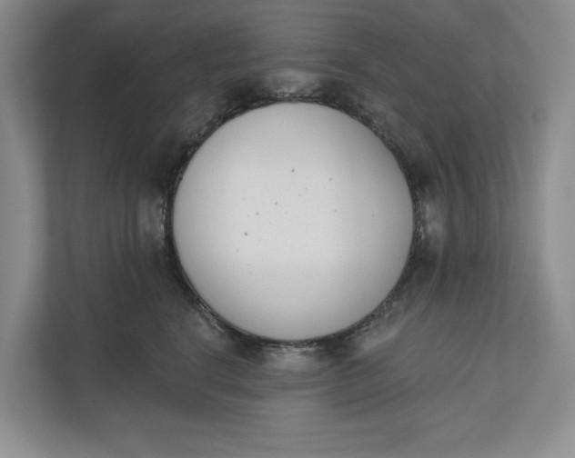 X0000110740664200906290949