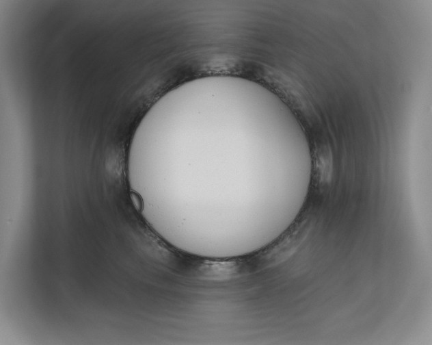 X0000110740665200906290949