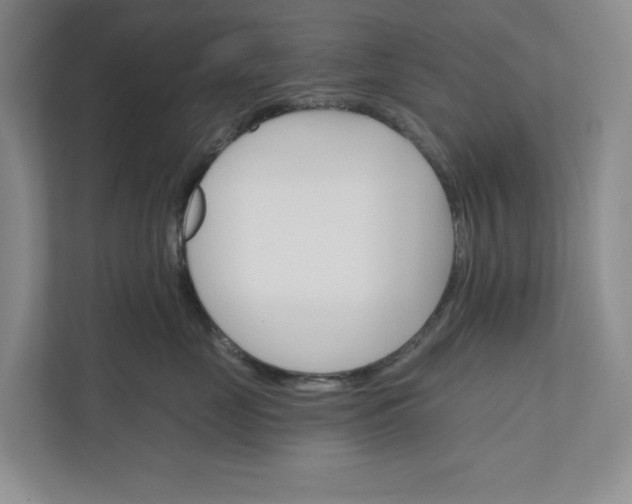 X0000110740669200906290949