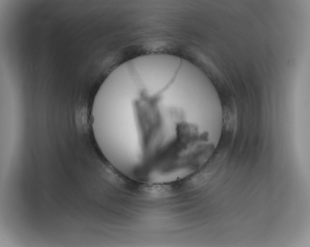 X0000110740670200906290949