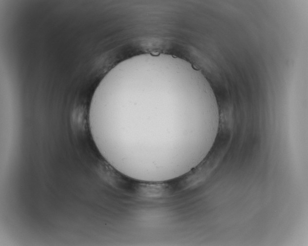 X0000110740671200906290949