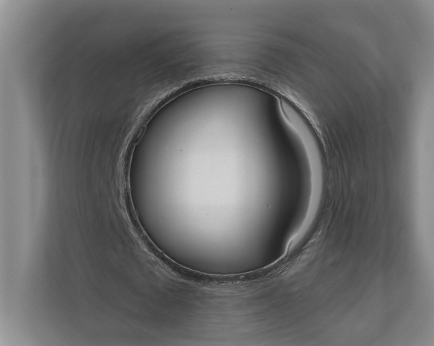 X0000110740673200906290948