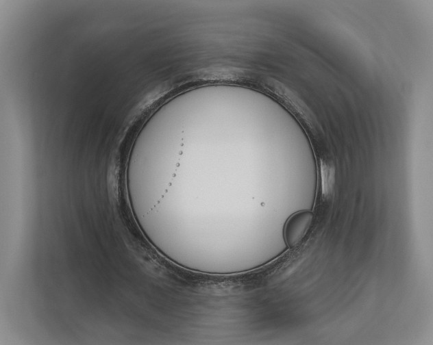 X0000110740675200906290948