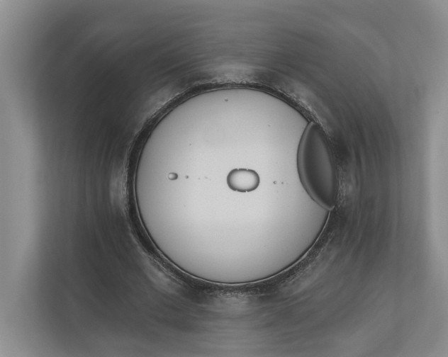 X0000110740677200906290948