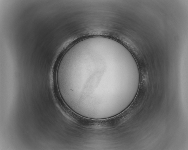 X0000110740678200906290948